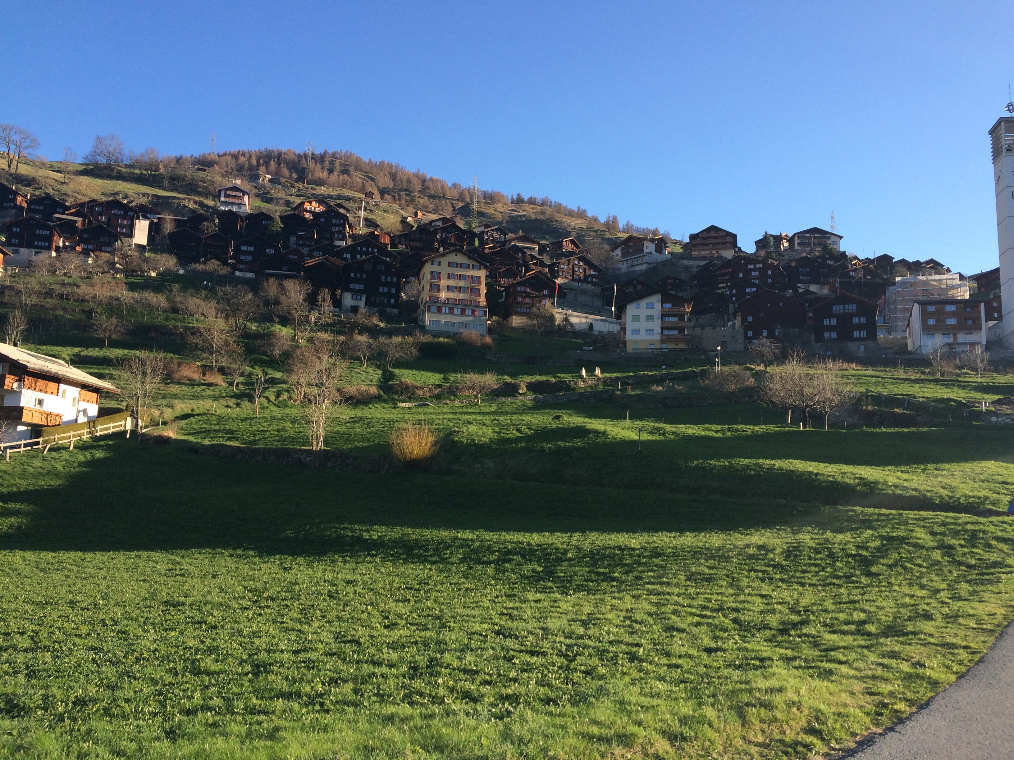 Bauparzellen an bester Lage am Sonnenberg Törbel